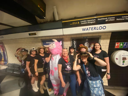 Hen Party T-Shirts, My Last Rodeo